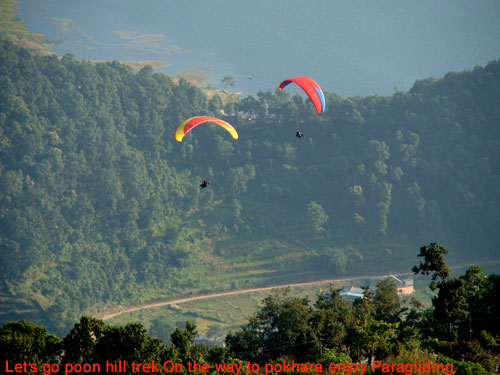 Pokhara is the city of adventure.During poon hill trek we pass through pokhara and could enjoy with paragliding.