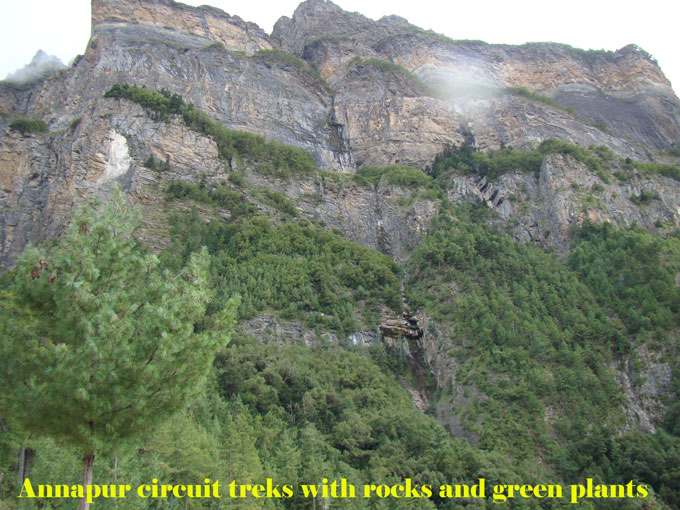 Beautiful rocks with green plants on the way to Annapurna circuit trek