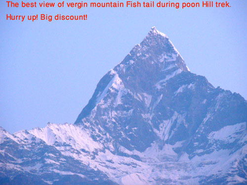 beautiful virgin mountain Fishtail seen during poon hill trek 